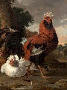 Pollame da Melchior de Hondecoeter